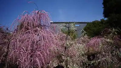 城南宮(京都府)