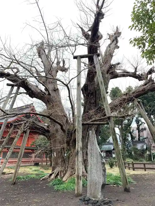 飯香岡八幡宮(千葉県)