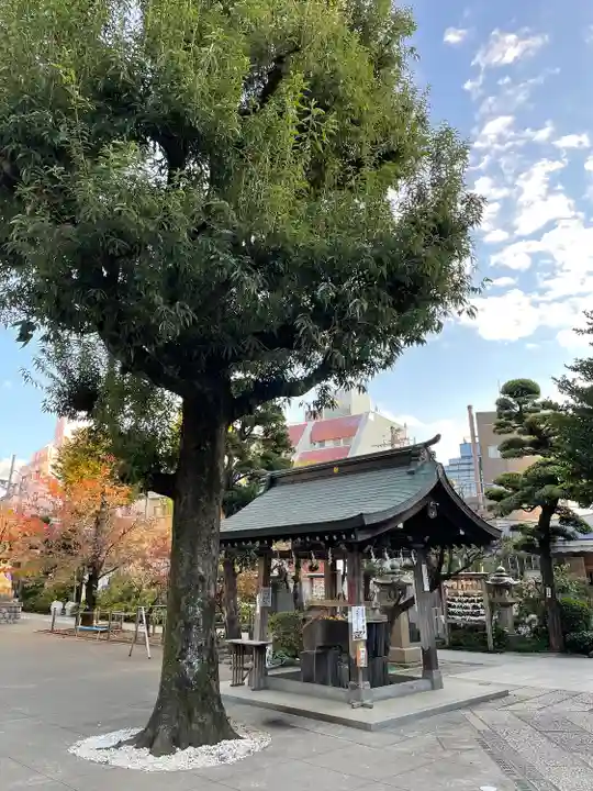 鳩森八幡神社の手水舎