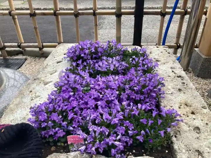 山蒼稲荷神社の{uncategorized: "未分類", other: "その他", undefined: "問題あり", building: "その他建物", grave: "お墓", sacred_gate: "鳥居", guardian: "狛犬", statue: "像", buddha: "仏像", history: "歴史", nature: "自然", garden: "庭園", animal: "動物", pagoda: "塔", temizu: "手水舎", mountain_gate: "山門・神門", sanctuary: "本殿・本堂", subordinate: "末社・摂社", art: "芸術", scenery: "景色", jizo: "地蔵", ema: "絵馬", goshuin: "御朱印", omikuji: "おみくじ", items: "授与品その他", amulet: "お守り", goshuincho: "御朱印帳", eats: "食事", festival: "お祭り", votive_dance: "神楽", shichigosan: "七五三参", wedding: "結婚式", experience: "体験その他", initially: "初詣", around: "周辺", anti_infection: "感染症対策"}