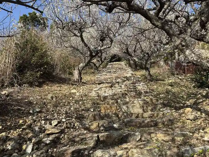 長楽寺(静岡県)