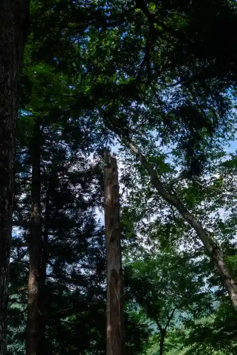 山家神社(長野県)