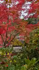 鍬山神社(京都府)