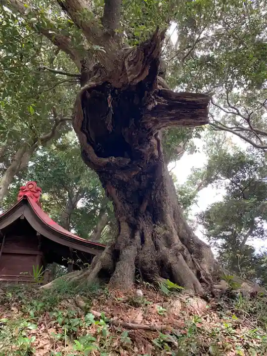 香取神社(千葉県)