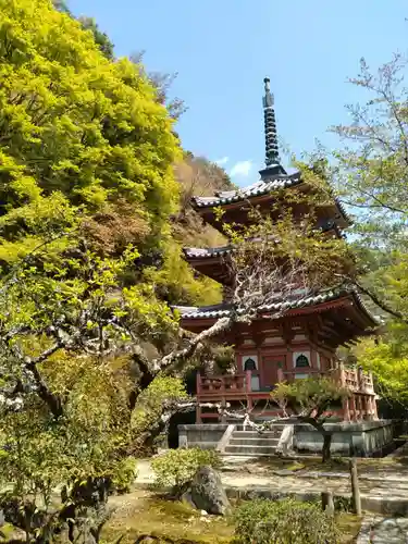 三室戸寺の塔