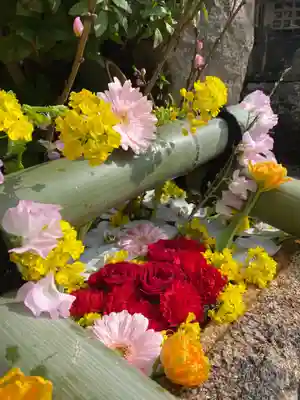 早稲田神社の手水舎