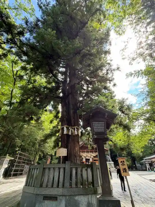 諏訪大社下社秋宮(長野県)