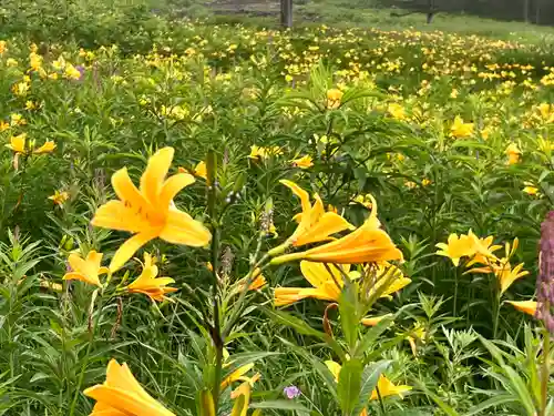 山の神神社(長野県)
