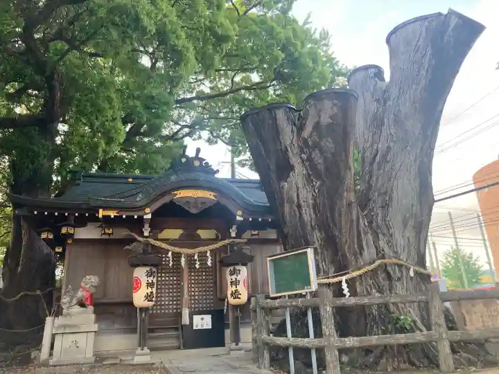 春日神社の{uncategorized: "未分類", other: "その他", undefined: "問題あり", building: "その他建物", grave: "お墓", sacred_gate: "鳥居", guardian: "狛犬", statue: "像", buddha: "仏像", history: "歴史", nature: "自然", garden: "庭園", animal: "動物", pagoda: "塔", temizu: "手水舎", mountain_gate: "山門・神門", sanctuary: "本殿・本堂", subordinate: "末社・摂社", art: "芸術", scenery: "景色", jizo: "地蔵", ema: "絵馬", goshuin: "御朱印", omikuji: "おみくじ", items: "授与品その他", amulet: "お守り", goshuincho: "御朱印帳", eats: "食事", festival: "お祭り", votive_dance: "神楽", shichigosan: "七五三参", wedding: "結婚式", experience: "体験その他", initially: "初詣", around: "周辺", anti_infection: "感染症対策"}
