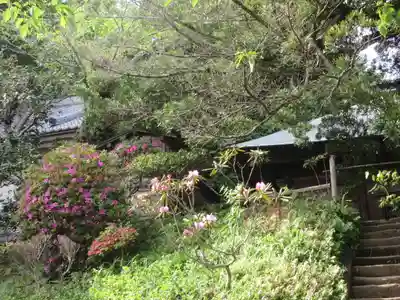 浄光明寺(神奈川県)