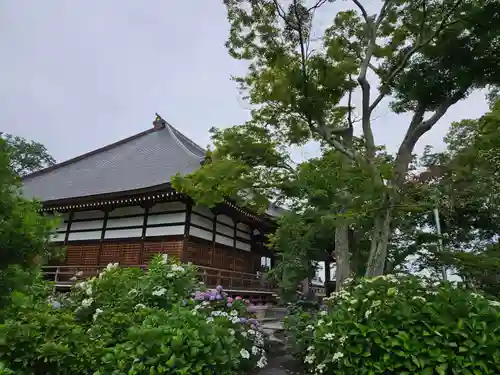 能護寺(埼玉県)