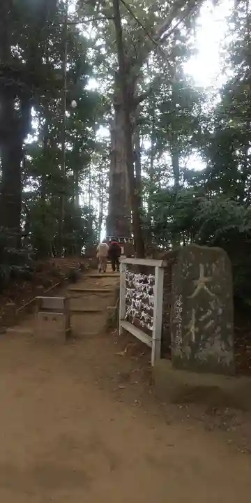 麻賀多神社(千葉県)