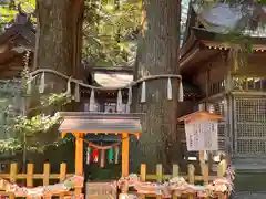 高千穂神社(宮崎県)