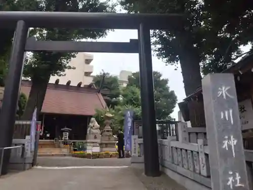 高円寺氷川神社の鳥居