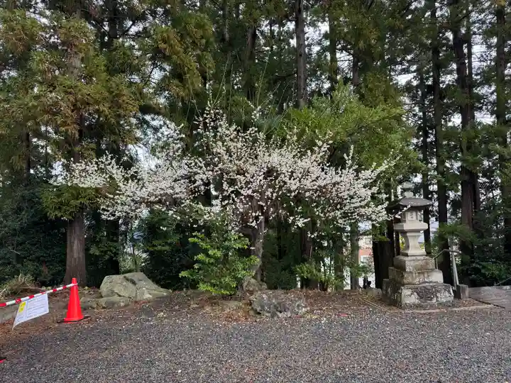 豊景神社(福島県)