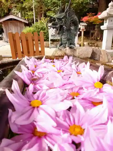 立志神社の手水舎