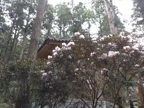 御岩神社の自然
