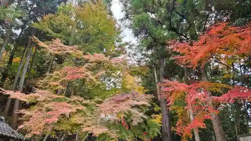 法輪寺(京都府)