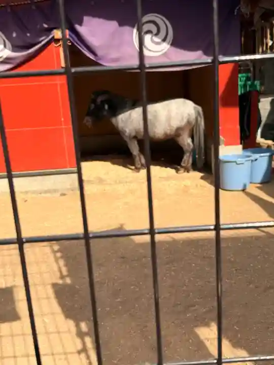 神田神社(神田明神)の{uncategorized: "未分類", other: "その他", undefined: "問題あり", building: "その他建物", grave: "お墓", sacred_gate: "鳥居", guardian: "狛犬", statue: "像", buddha: "仏像", history: "歴史", nature: "自然", garden: "庭園", animal: "動物", pagoda: "塔", temizu: "手水舎", mountain_gate: "山門・神門", sanctuary: "本殿・本堂", subordinate: "末社・摂社", art: "芸術", scenery: "景色", jizo: "地蔵", ema: "絵馬", goshuin: "御朱印", omikuji: "おみくじ", items: "授与品その他", amulet: "お守り", goshuincho: "御朱印帳", eats: "食事", festival: "お祭り", votive_dance: "神楽", shichigosan: "七五三参", wedding: "結婚式", experience: "体験その他", initially: "初詣", around: "周辺", anti_infection: "感染症対策"}