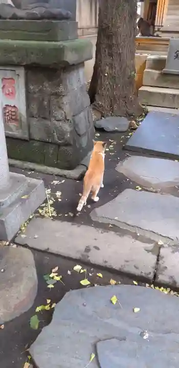 小野照崎神社の動物