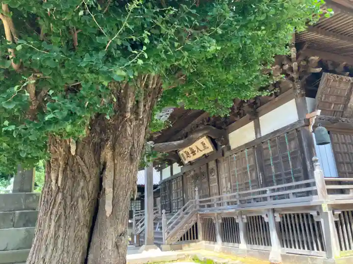 龍本寺(神奈川県)