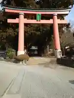 河口浅間神社の鳥居