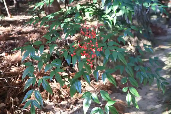 鹿島大神宮の自然