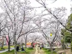 星田妙見宮の自然