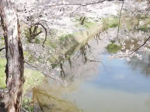 眞田神社の自然