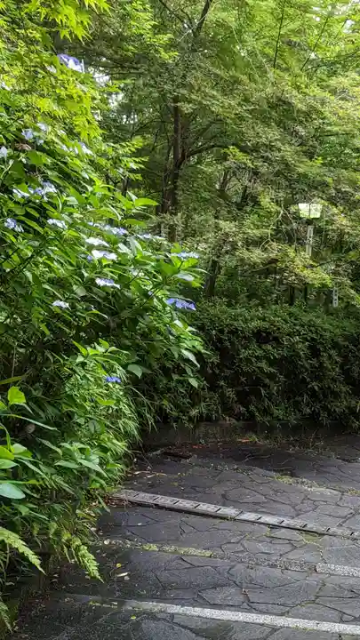 長岡天満宮(京都府)