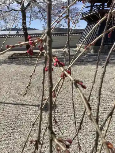 長蔵寺(岐阜県)