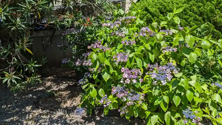 上宮王院聖徳寺(京都府)