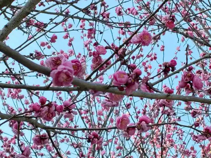 切幡寺(徳島県)