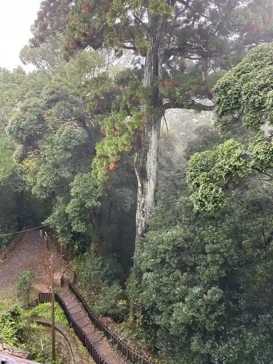 笠森寺(千葉県)