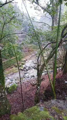  川上山若宮八幡宮の景色