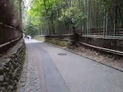 野宮神社(京都府)