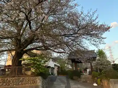 浄蓮寺(千葉県)