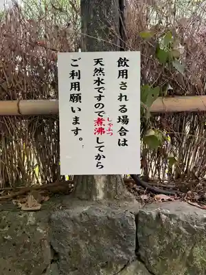 富士山本宮浅間大社(静岡県)