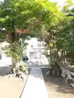 八坂大神の{uncategorized: "未分類", other: "その他", undefined: "問題あり", building: "その他建物", grave: "お墓", sacred_gate: "鳥居", guardian: "狛犬", statue: "像", buddha: "仏像", history: "歴史", nature: "自然", garden: "庭園", animal: "動物", pagoda: "塔", temizu: "手水舎", mountain_gate: "山門・神門", sanctuary: "本殿・本堂", subordinate: "末社・摂社", art: "芸術", scenery: "景色", jizo: "地蔵", ema: "絵馬", goshuin: "御朱印", omikuji: "おみくじ", items: "授与品その他", amulet: "お守り", goshuincho: "御朱印帳", eats: "食事", festival: "お祭り", votive_dance: "神楽", shichigosan: "七五三参", wedding: "結婚式", experience: "体験その他", initially: "初詣", around: "周辺", anti_infection: "感染症対策"}
