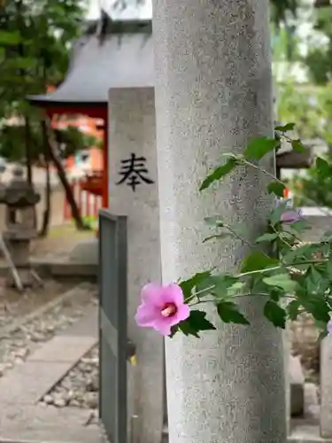 生田神社の自然