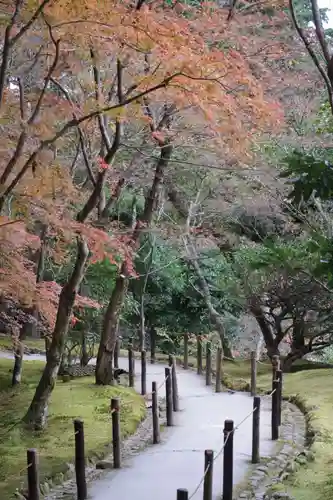 慈照寺（慈照禅寺・銀閣寺）の周辺