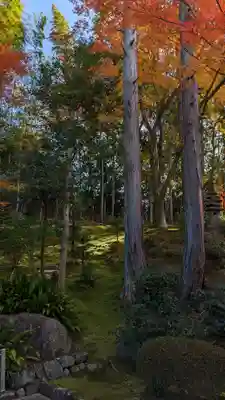 榮攝院（栄摂院）(京都府)