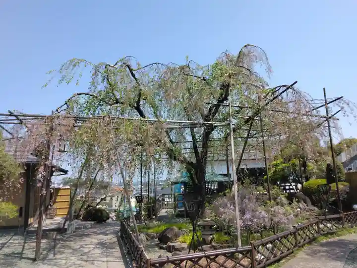 普門院(神奈川県)