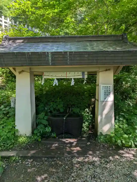 戸隠神社奥社(長野県)