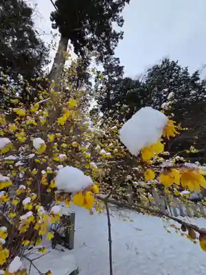 沙沙貴神社(滋賀県)