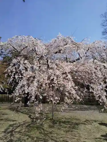 水火天満宮(京都府)