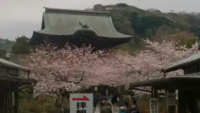 建長寺の{uncategorized: "未分類", other: "その他", undefined: "問題あり", building: "その他建物", grave: "お墓", sacred_gate: "鳥居", guardian: "狛犬", statue: "像", buddha: "仏像", history: "歴史", nature: "自然", garden: "庭園", animal: "動物", pagoda: "塔", temizu: "手水舎", mountain_gate: "山門・神門", sanctuary: "本殿・本堂", subordinate: "末社・摂社", art: "芸術", scenery: "景色", jizo: "地蔵", ema: "絵馬", goshuin: "御朱印", omikuji: "おみくじ", items: "授与品その他", amulet: "お守り", goshuincho: "御朱印帳", eats: "食事", festival: "お祭り", votive_dance: "神楽", shichigosan: "七五三参", wedding: "結婚式", experience: "体験その他", initially: "初詣", around: "周辺", anti_infection: "感染症対策"}
