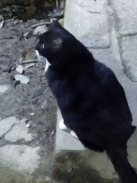 伏見稲荷大社 奥社奉拝所(京都府)