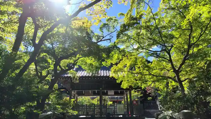 鍬山神社(京都府)