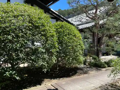 南陽院(京都府)